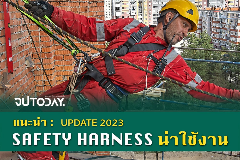 แนะนำ Safety Harness น่าใช้งาน